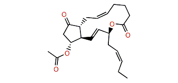 Prostaglandin E3 1,15-lactone-11-acetate